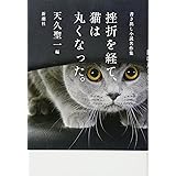 挫折を経て、猫は丸くなった。: 書き出し小説名作集