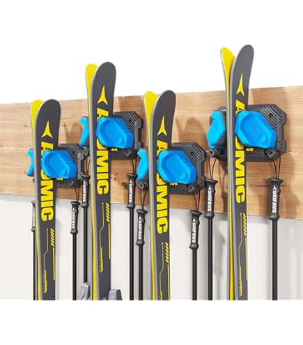 Amazon | LEKI QNTM 軽量アルミスキーポール アルペンスキー用
