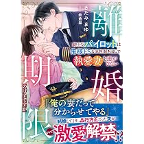 離婚期限のはずですが～紳士なパイロットは俺様ドSな本性剥き出しで執 