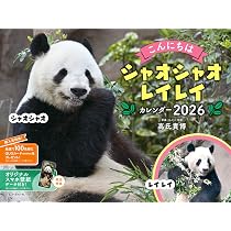 Amazon.co.jp: パンダ沼への招待状カレンダー2026 with 上野のパンダ