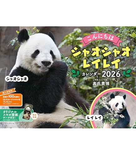 Amazon | グリーティングライフ 2026年 カレンダー パンダ 壁掛け C