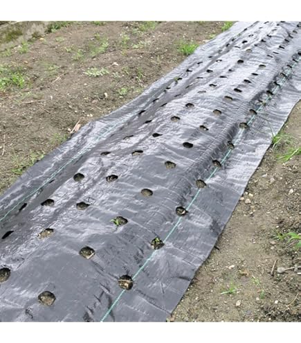 Amazon.co.jp: 農業マルチ 防草シート 国華園 穴あき防草マルチ 5列45