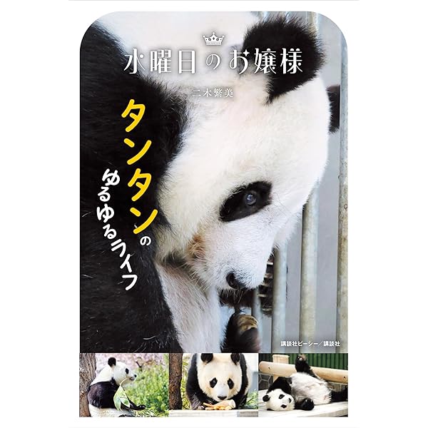 【パンダページ】 今日のパンダ（3877日目）