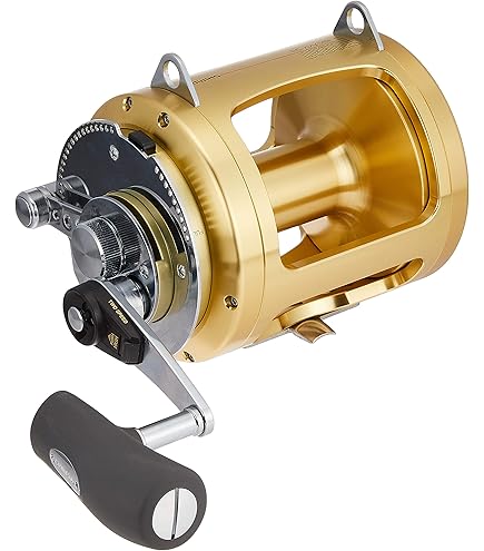 Amazon | Shimano Tiagra A TI-16 Saltwater 2-Speed Lever Drag Reel