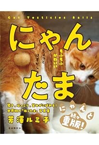 Amazon.co.jp: にゃんたまω : 芳澤 ルミ子: Japanese Books