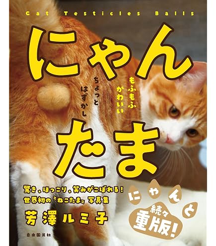 Amazon.co.jp: 開運!! にゃんたまω カレンダー2025 壁掛け CL25-0395A