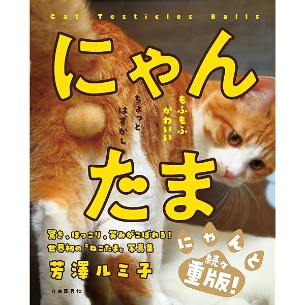 Amazon.co.jp: にゃんたまω : 芳澤 ルミ子: Japanese Books