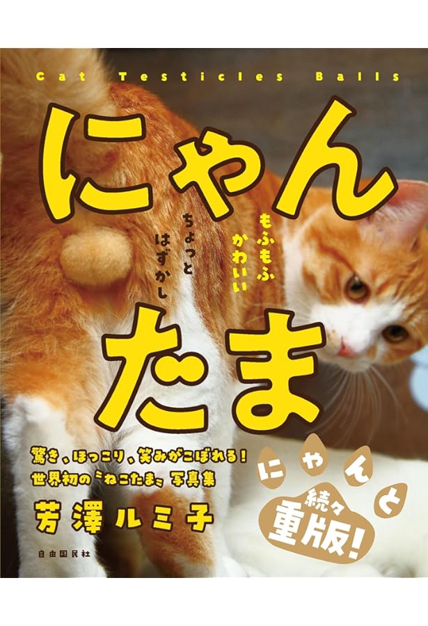 にゃんたまω | 芳澤 ルミ子 |本 | 通販 | Amazon