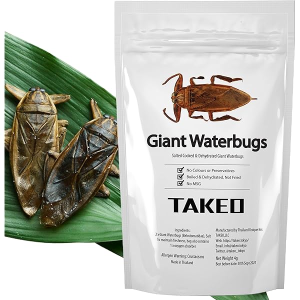 たけむし Amazon | はまる食品 昆虫食 タケムシ バンブーワーム 国内調理 塩味