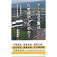 ホークス3軍はなぜ成功したのか? 才能を見抜き、開花させる育成力 (光文社新書)