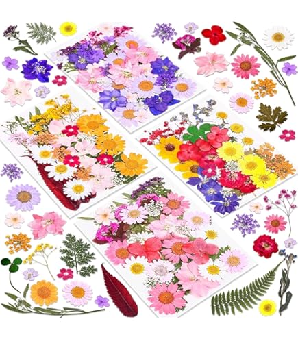 Amazon | 四つ葉のクローバー24枚 押し花 ドライフラワー | 彩香