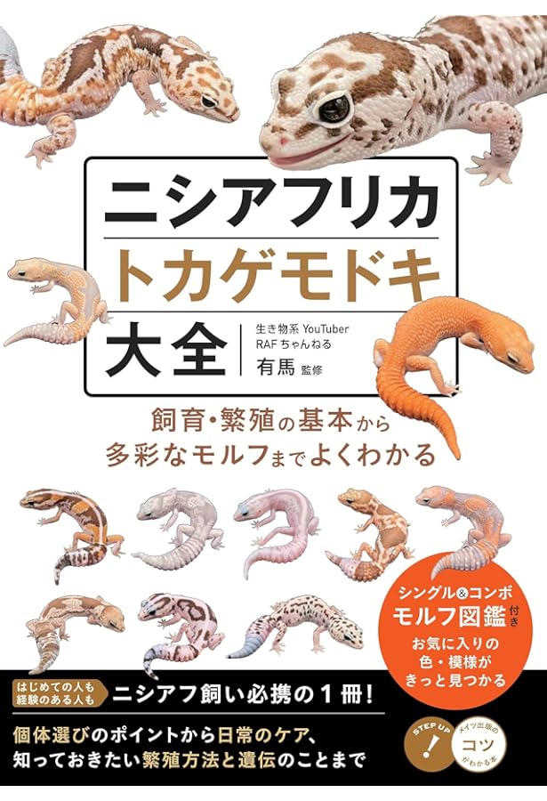Amazon.co.jp: ヒョウモントカゲモドキ品種図鑑: 飼育前の個体