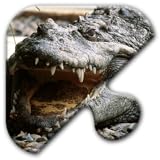 Jigsaw Puzzles Free Game - Chapter 18