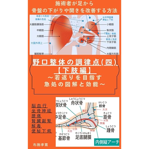 Amazon.co.jp: 野口整体の調律点（一）【上肢・胸部・肩甲骨編