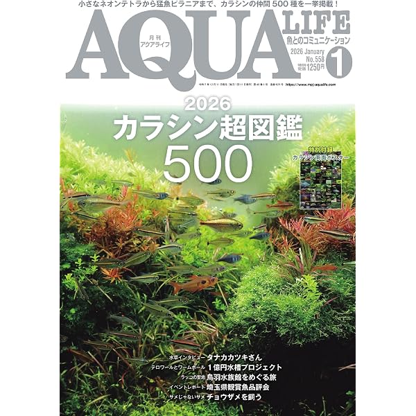 アクアライフ 2026年2月号 (2026-01-16) [雑誌] | エムピージェー