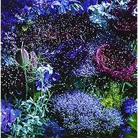 Amazon.co.jp: あなたに出会わなければ~夏雪冬花~/星屑ビーナス