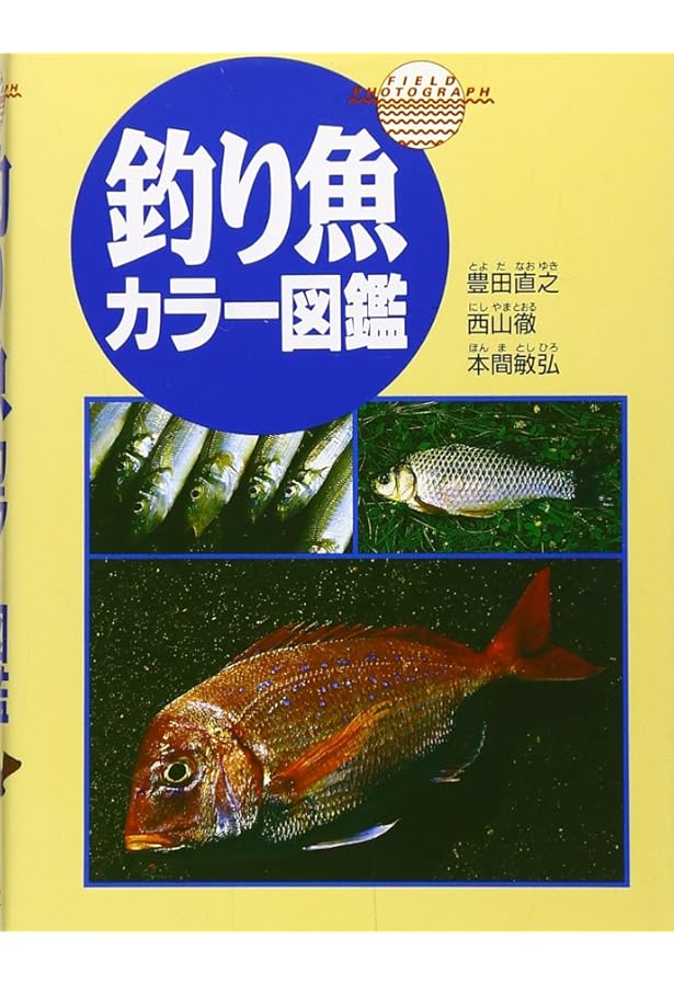新版 写真でわかる釣り魚カラー図鑑 | 豊田直之, 西山徹, 本間敏弘 |本