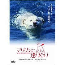 Amazon.co.jp: マリリンに逢いたい [DVD] : 安田成美, 加藤昌也, 鈴木