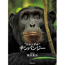 オランウータン──森のさとりびと | 前川貴行 |本 | 通販 | Amazon
