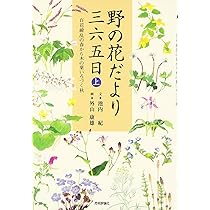 折々の花たち-野の美術館: 外山康雄水彩画集 | 外山 康雄 |本 | 通販