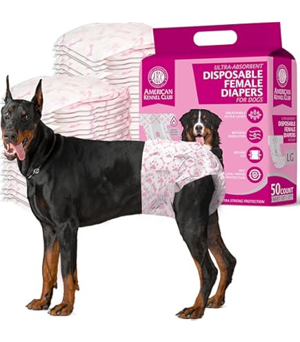 Small Dog Diapers Female Mua Disposable Female Dog Diapers, Puppy