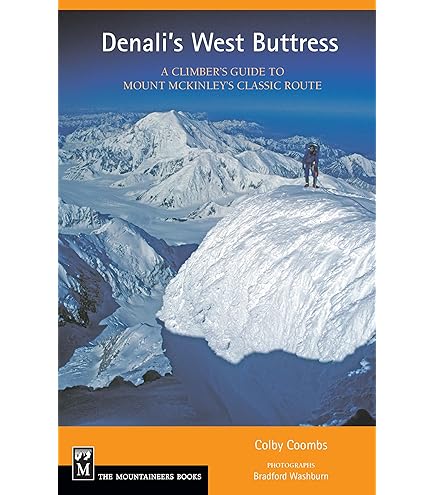 Amazon | エムエスアール(MSR) アウトドア スノーフルーク スモール