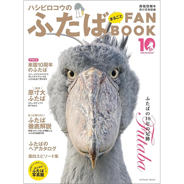 Amazon.co.jp: ハシビロコウのふたば～掛川花鳥園の仲間たちといっしょ