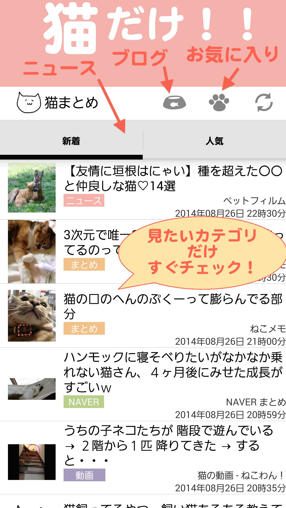 Amazon Co Jp 猫まとめ ねこ情報まとめ Android アプリストア