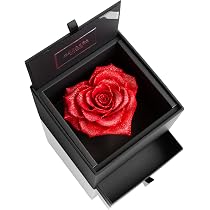 Amazon.co.jp: アモローサ モデルノ AMOROSA MODERNO プリザーブド