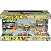 zoomed hermit crab kit