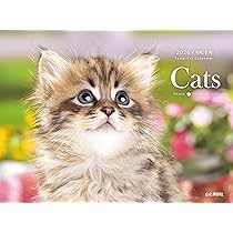 カレンダー2026 Cats（月めくり/壁掛け/猫 こねこ） (ヤマケイ