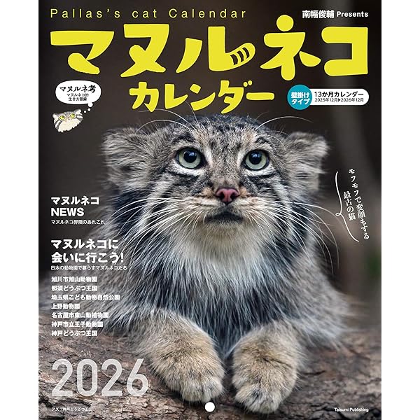 FÑASH(フニャッシュ) ねこ自身4匹め (光文社女性ブックス) | FLASH編集