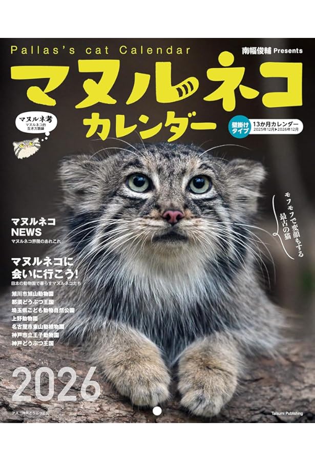 Amazon.co.jp: マヌルネコ : ネイチャー&サイエンス編, 今泉 忠明