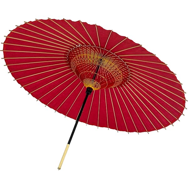 Amazon｜特注番傘 実用番傘 雨傘 防水加工 48本骨 直竹心棒 … (赤)｜和