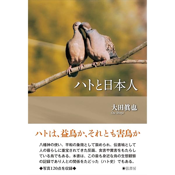 【中古】 ハトの大研究 古代から人とともに生きてきた鳥/ＰＨＰ研究所/国松俊英 ハトの大研究 | 書籍 | PHP研究所