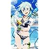 GGO シノン水着 ソードアートオンライン - GGO シノン水着 XFVGA(480×854)壁紙 107577