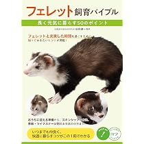 Amazon.co.jp: 幸せなフェレットの育て方 : 田向 健一: 本