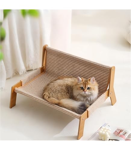 Amazon.co.jp: pidan 猫 ベッド ペットベッド レクタングル 洗える