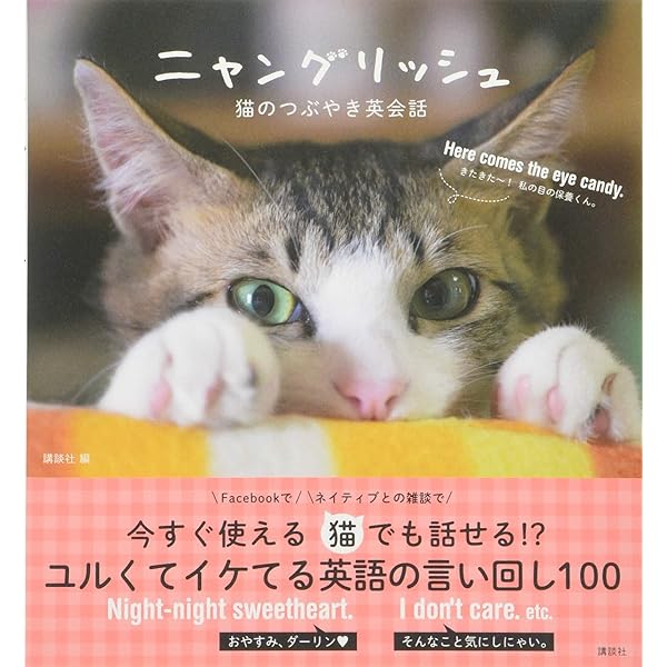 ニャンたん: 猫英単語 | 頴川 栄治, 谷口 幸夫 |本 | 通販 | Amazon