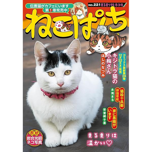 ねこぱんち 猫パンチ（ねこぱんち）PIERCE | iichi 日々の暮らしを心地よくする