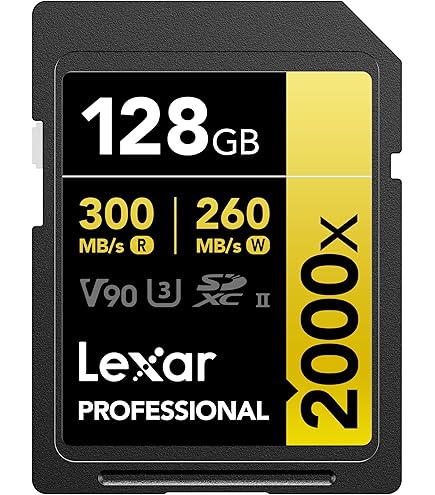 Nikon XQD Memory Card 64GB MC-XQ64G : Amazon.sg: Electronics