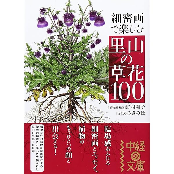Amazon.co.jp: 彩花譜: 野村陽子植物細密画集 : 野村 陽子: 本