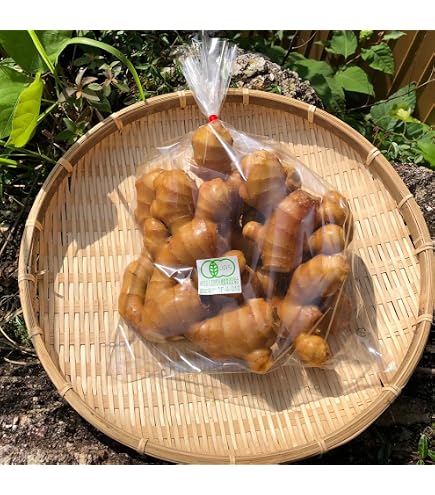 Amazon.co.jp: 種生姜 高知県産近江生姜（白）10kg : 食品・飲料・お酒