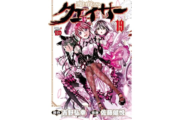 聖痕のクェイサー　19 (チャンピオンREDコミックス)