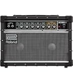 アンプ Roland CUBE STEX Roland CUBE Street EX Battery-Powered Stereo Amplifier [CUBE-STEX