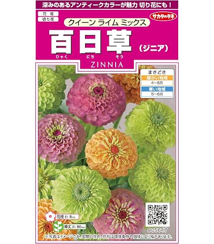 Amazon.co.jp: 種 花たね 百日草 クイーンライムウィズブロッチ 1袋