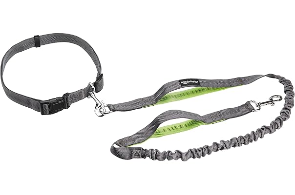 best dog leash amazon
