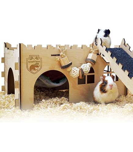 Little Adventures Guinea Pig Cage Cage Cochon D'inde DSKMJT Guinea