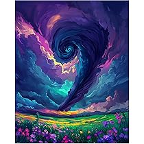 Amazon | 虹色の竜巻 数字で描く 大人用 初心者 キャンバスに
