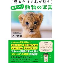 Amazon.co.jp: 1日のおわりにもふもふタイム : 松原 卓二: Japanese Books